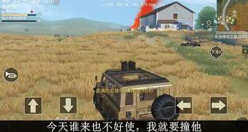 食行荒野,探寻自然馈赠的野味之旅