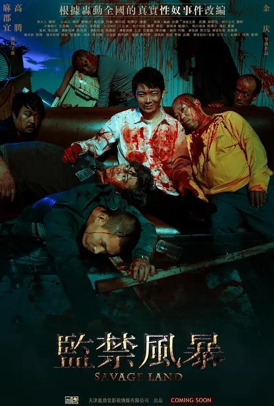 监禁风暴,揭秘监狱改革与人性挣扎的深刻故事