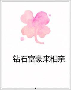 钻石富豪来相亲,邂逅爱情，闪耀人生