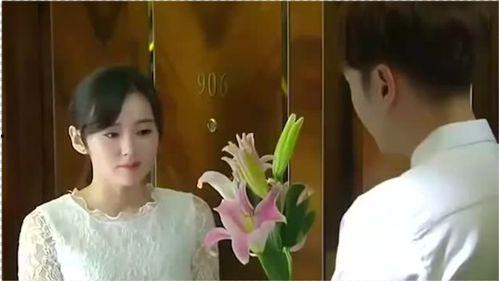 夫人她带刺归来